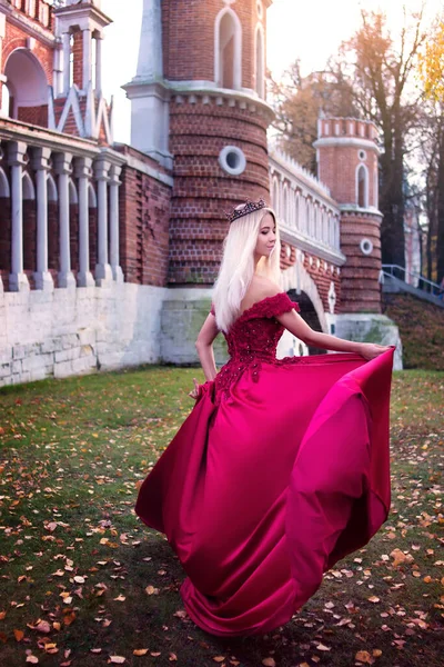 Princesa Corona Sobre Fondo Del Castillo Reina Cuento Hadas — Foto de Stock