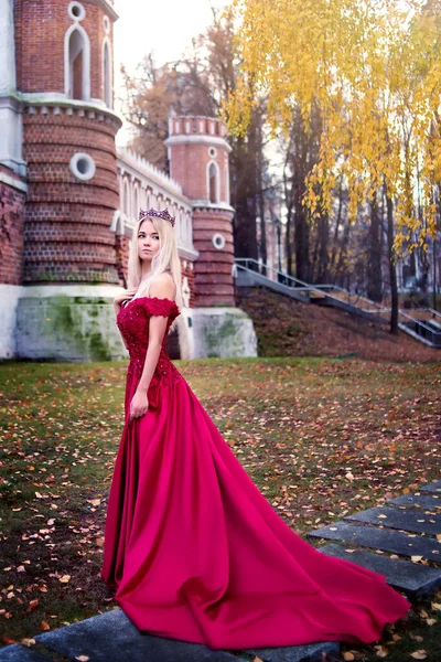 Princesse Couronne Robe Rouge Sur Fond Château Reine Conte Fées — Photo