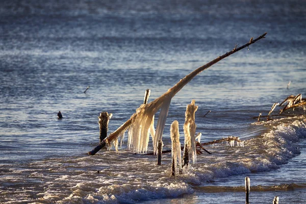 Inverno Sulle Rive Del Lago Michigan Ice Copre Rami Forma — Foto Stock