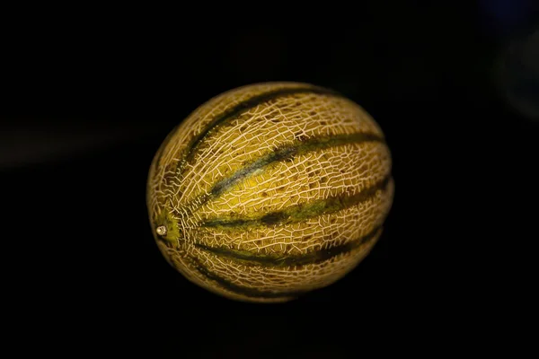 Charentais Melon Невелика Кількість Дині Але Більш Пахучим Запахом Більшість — стокове фото