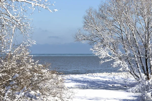 Das Ufer Des Michigansees Bedeckt Neuschnee — Stockfoto