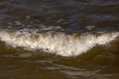 Michigan Gölü 'nün dalgaları sahile ulaşıyor ve birçok yerde toprak erozyonuna neden oluyor.