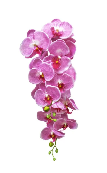 Искусственный букет розовый цветок орхидеи изолирован — стоковое фото