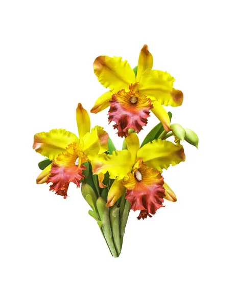 Sztuczne bukiet orchidei kwiat na białym tle — Zdjęcie stockowe