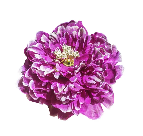 Purpurová umělá květina, samostatný — Stock fotografie