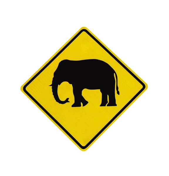 Elefante cruce carretera señal aislada — Foto de Stock