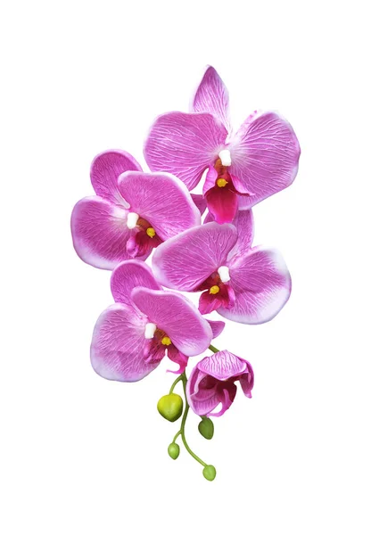 Różowy sztuczny Orchidea kwiat na białym tle — Zdjęcie stockowe