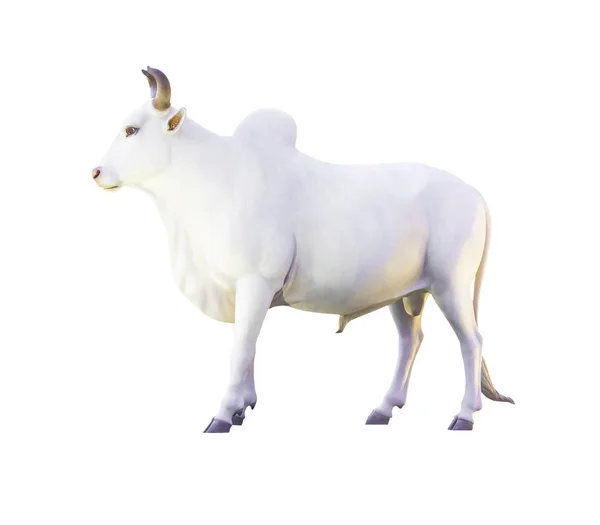 在白色背景上隔离牛雕像 — 图库照片