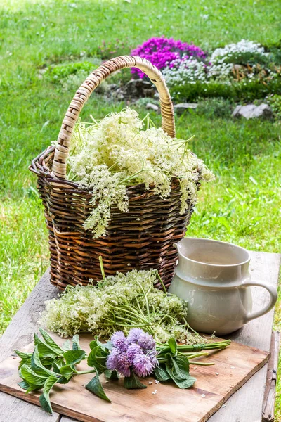 Fleur de sureau dans un panier dans le jardin — Photo