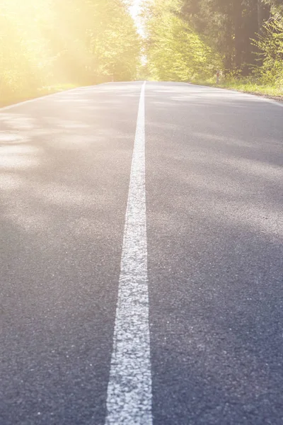 Asfalt landweg met boom — Stockfoto