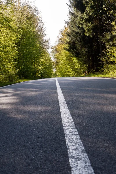 Country asphalt road with tree — Stock Photo, Image