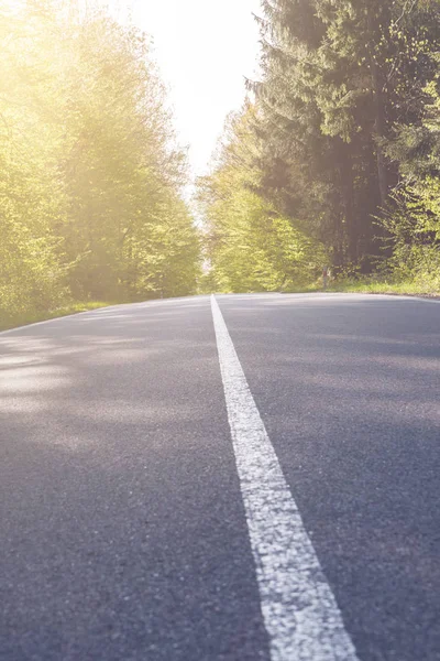 Strada asfaltata di campagna con albero — Foto Stock