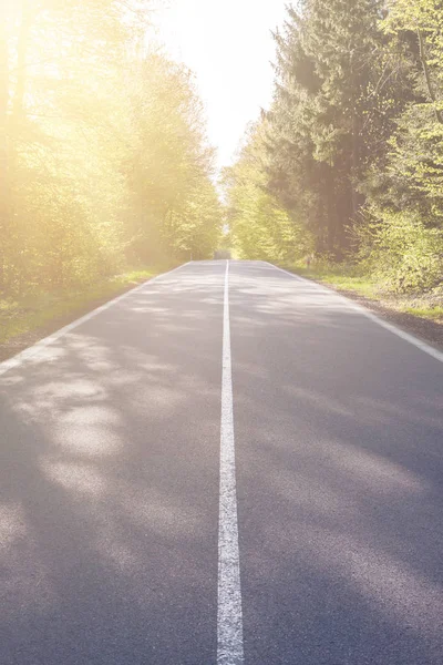 Country asphalt road with tree — Stock Photo, Image