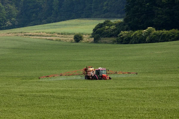 Trattore a spruzzo pesticidi su grande campo verde con grano giovane Foto Stock