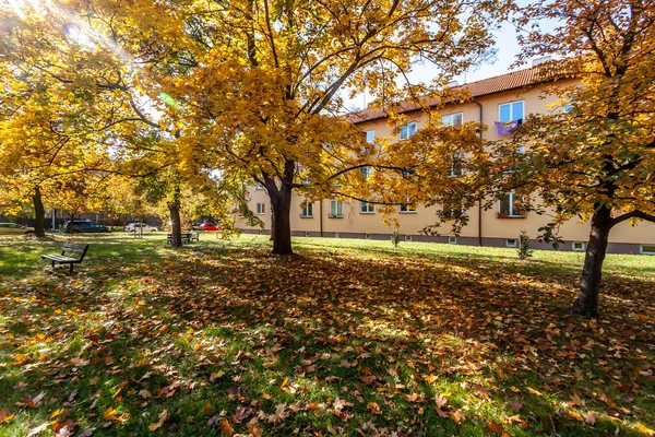 Herbstzeit in der Stadt Pardubice — Stockfoto