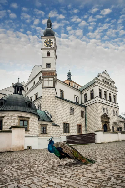 Castillo renacentista en la ciudad Pardubice con pavo real —  Fotos de Stock