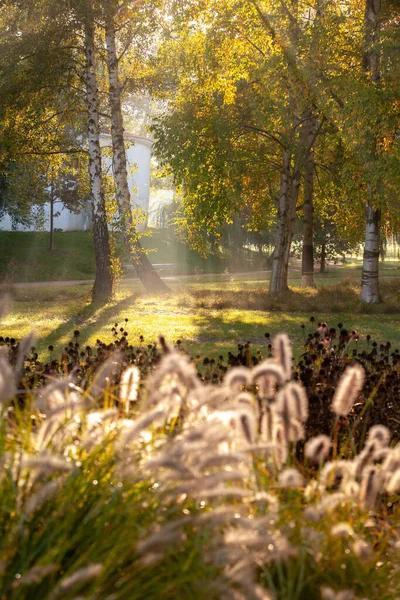 Солнечные лучи в осеннем городском парке - Чехия, Пардубице — стоковое фото