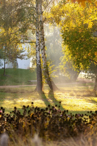 Солнечные лучи в осеннем городском парке - Чехия, Пардубице — стоковое фото