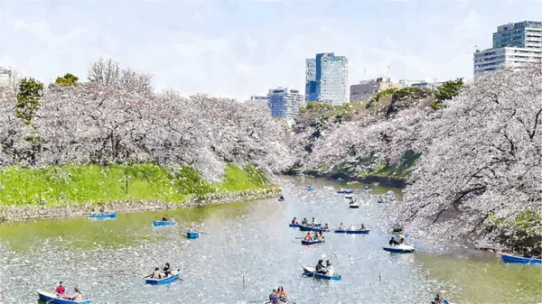 Chidorigafuchi Cherry Blossom Στο Τόκιο Ιαπωνία — Φωτογραφία Αρχείου