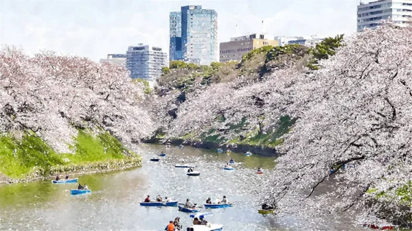 Chidorigafuchi Cherry Blossom Στο Τόκιο Ιαπωνία — Φωτογραφία Αρχείου