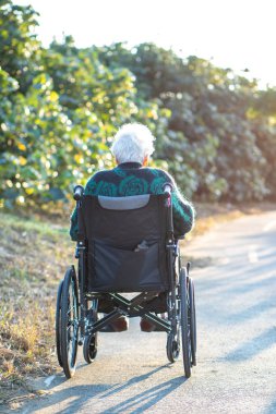 Yaşlı Asyalı kadınlar, yaşlılar, dışarıda tekerlekli sandalyeye otururlar.