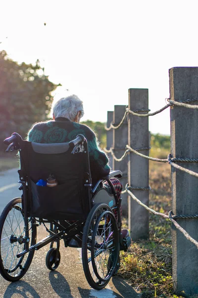 Ältere Asiatische Frauen Ältere Menschen Sitzen Rollstuhl Freien — Stockfoto