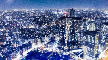 Tokyo Büyükşehir Hükümeti geceleyin