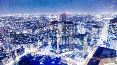 Tokyo Büyükşehir Hükümeti geceleyin