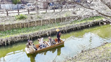 Tokyo, Japonya 'da Kiraz Çiçeği