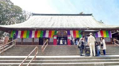 Tokyo, Japonya 'da Kiraz Çiçeği