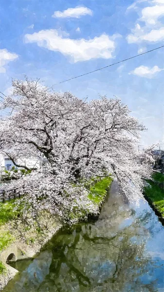 Cerejeira Tokyo Japão — Fotografia de Stock