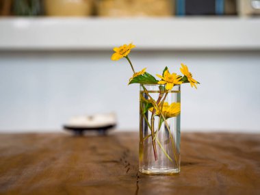 Sarı bahar çiçekleri salon iç