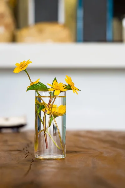 Yellow Spring Flowers Living Room Interior — Stock Photo, Image