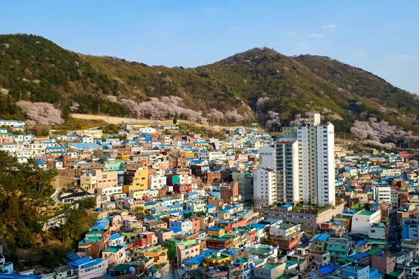 Gamcheon Culture Village Busan Corea — Foto de Stock