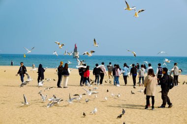 Beach in Busan, Korea