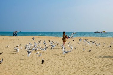 Beach facade in Busan,Korea