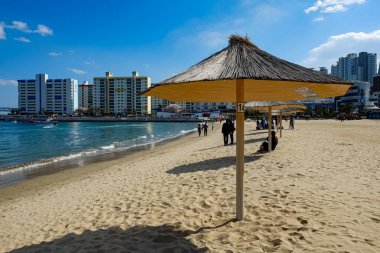 Beach facade in Busan,Korea