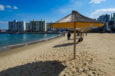 Beach facade in Busan,Korea