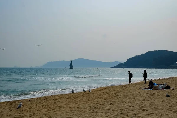 Beach Facade Busan Korea — Stock Photo, Image