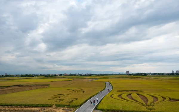 Reisfeldernte Taiwan — Stockfoto