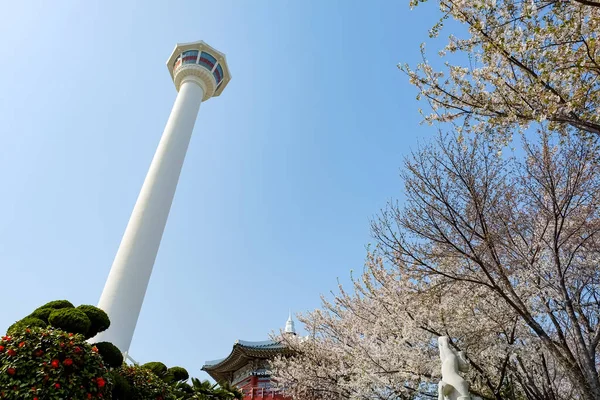 韓国釜山の釜山タワー — ストック写真