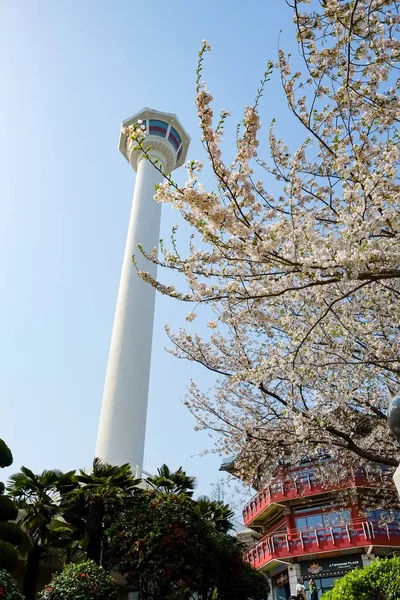 Busan Tower Busan Korea — Stock Photo, Image