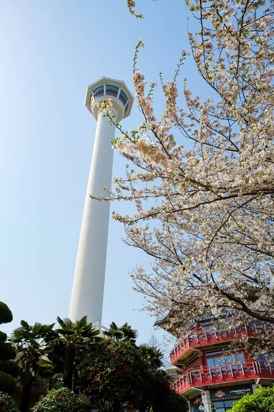 Busan Tower Busan Korea — Stock Photo, Image