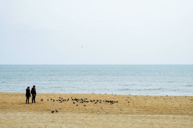 Busan, Kore 'deki Gwangalli Plajı