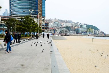 Busan, Kore 'deki Gwangalli Plajı