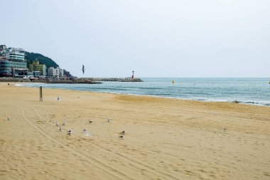 Busan, Kore 'deki Gwangalli Plajı