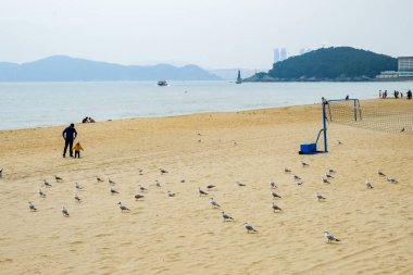 Busan, Kore 'deki Gwangalli Plajı