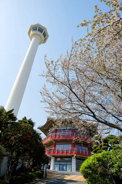 Busan Tower Busan Korea — Stock Photo, Image