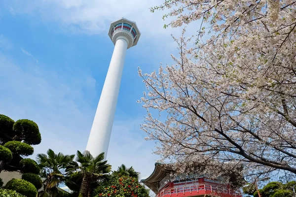 Busan Tower Korea — Stock Photo, Image