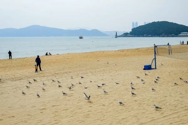 Gwangalli Beach Busan Korea — Stock Photo, Image